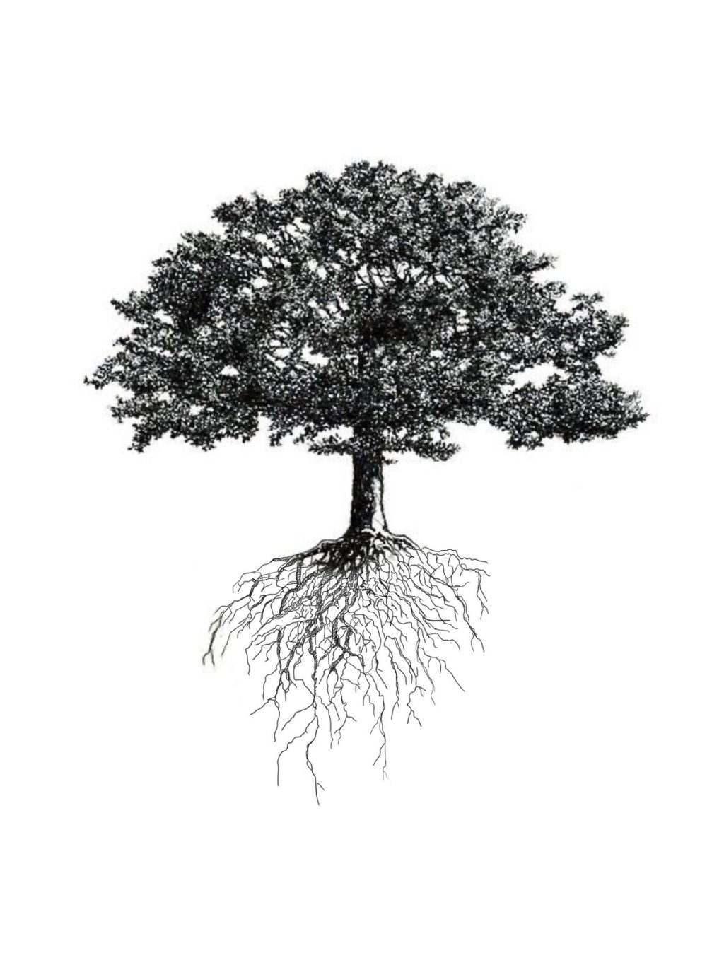 a52491b12eb3c26bca86fa19817a61b9