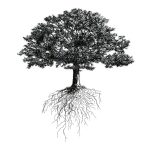 a52491b12eb3c26bca86fa19817a61b9