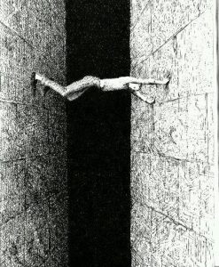 d3e88f8b8c19e9ed5187ace80b490b9c