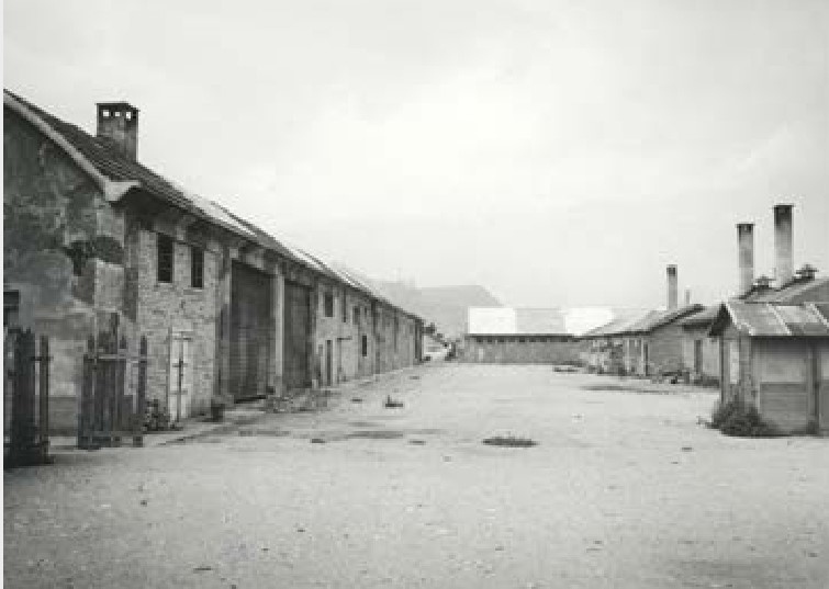 Giorno-della-memoria-2024-598493820