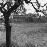 Immagine-WhatsApp-2025-04-23-ore-09.52.13_d86d9d8f-768x1024