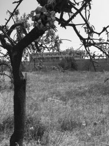 Immagine-WhatsApp-2025-04-23-ore-09.52.13_d86d9d8f-768x1024