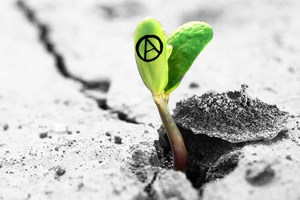 Compressed by jpeg-recompress