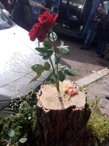 5933666498645790429-768x1024