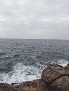 {"capture_mode":"AutoModule","faces":[]}