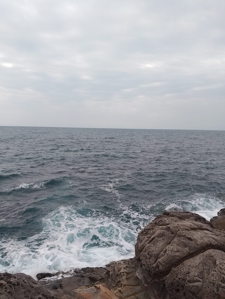 {"capture_mode":"AutoModule","faces":[]}