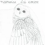 Fronte1